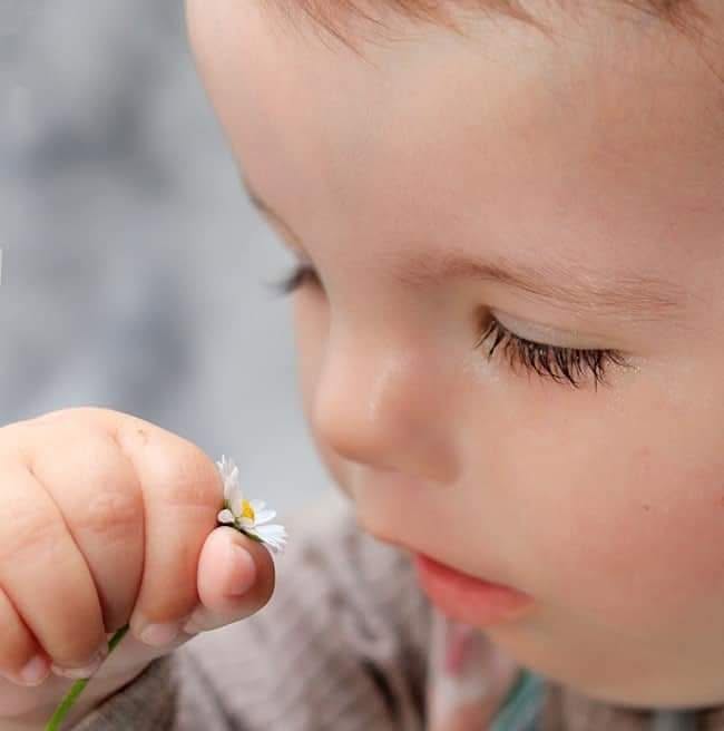 A small child gently holding a daisy, looking down in wonder.